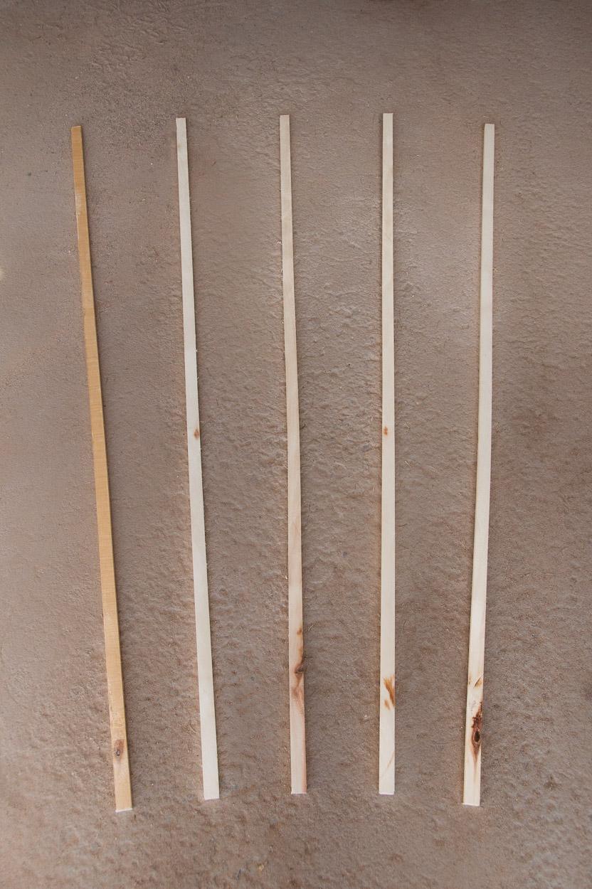 Five vertical sticks create the fan of the trellis.