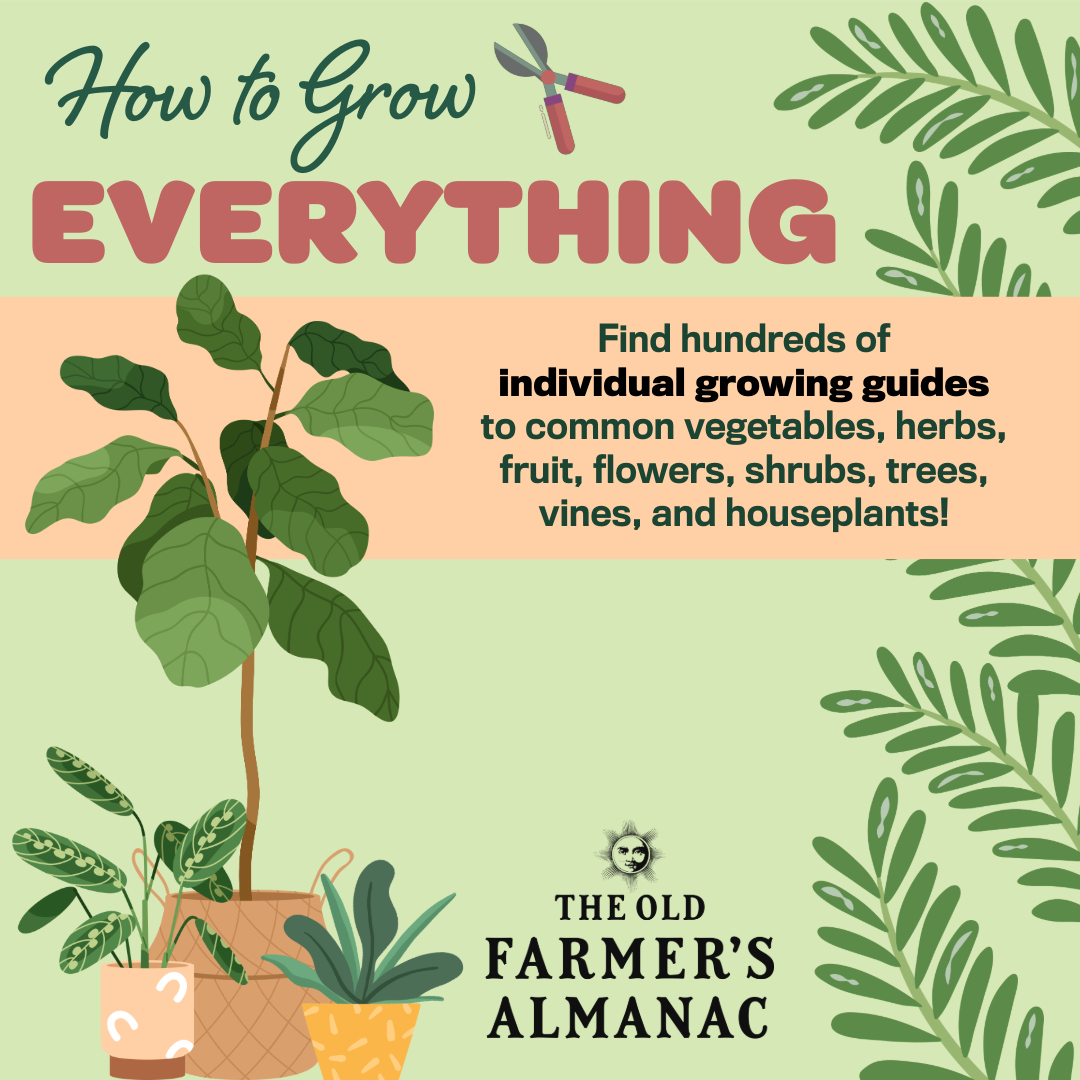 Grow Guide Library