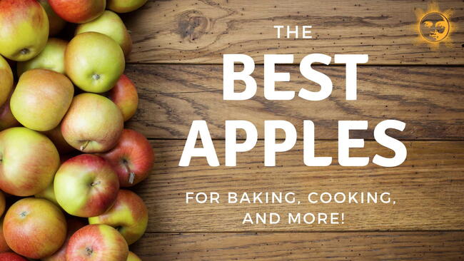 apples on a wooden background, the best apples for baking, the best apples for cooking, applesauce, apple cider, and apple butter
