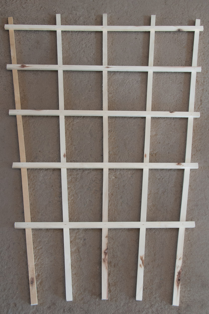 Assembled trellis structure.
