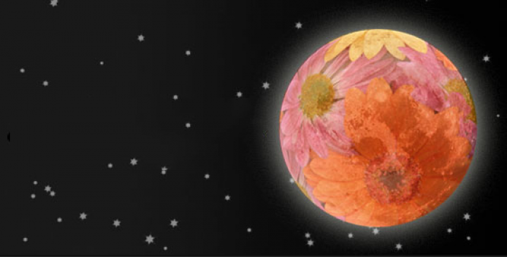 Full Flower Moon, May Full Moon